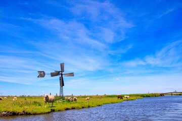 Fototapeta na wymiar Dutch landscape with sheep, grassland, canal, bridge and windmill
