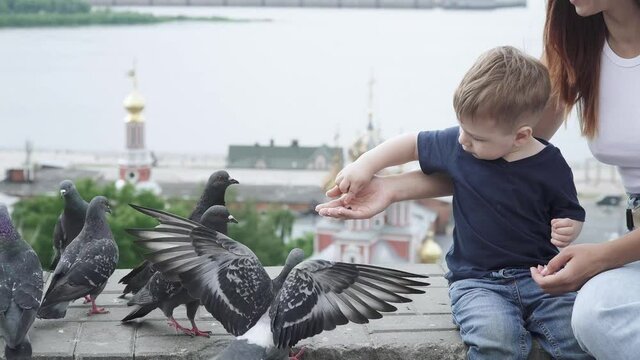 Mom with her son feeds pigeons