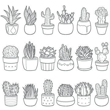 Cactus and Succulents doodle icon set. Plant in Pot Vector illustration collection. Home Decor Hand drawn Line art style.