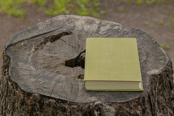 Closed book, hardcover, on a wooden slice of an old tree.