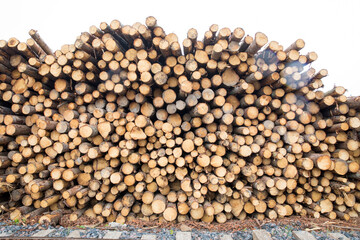 Warehouse with the production of woodworking sawmills, logs, boards and lumber