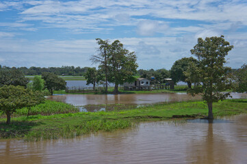 Fototapeta na wymiar Amazon Basin, Brazil