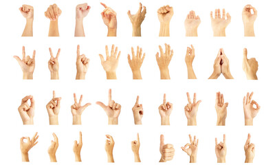 hand collection in gestures with white skin isolated on white background
