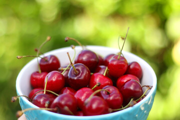 Bowl of fresh cherries, served in a garden. Selective focus.