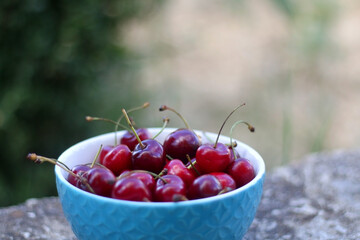 Bowl of fresh cherries, served in a garden. Selective focus.