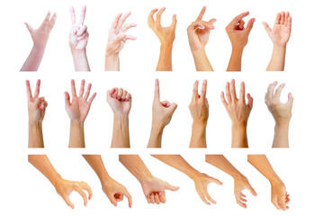 multiple collection hand in gestures isolated on white background of asian