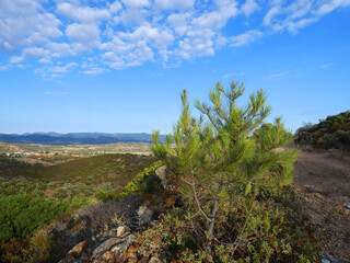 Paesaggio di Sardegna