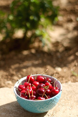 Bowl of fresh cherries, served in a garden. Selective focus.