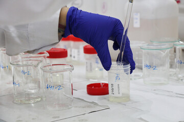Fotos de laboratorio 