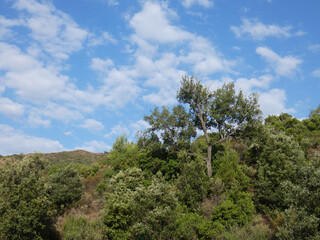 Paesaggio di Sardegna