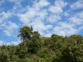 Obraz premium Paesaggio di Sardegna