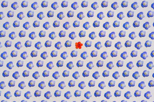 Pattern of rows of blue flower heads with single red one