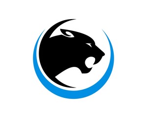 Black panther with blue circle