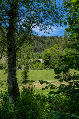 Fototapeta premium Ravenna bridge viaduct at the Ravenna gorge in Breitnau, Black Forest, Germany