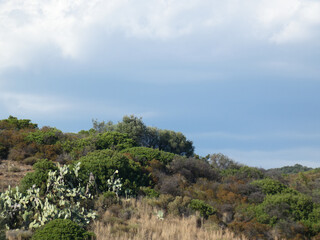 Paesaggio di Sardegna