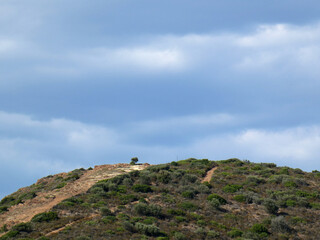 Paesaggio di Sardegna