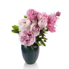 Beautiful pink peonies branch isolated on white background. Pink floral background.