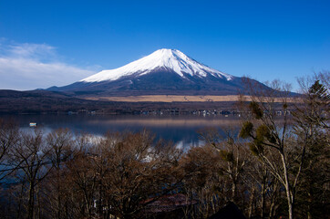 Mount Fuji with snowcap with tree foreground, from Lake Yamanaka, Japan