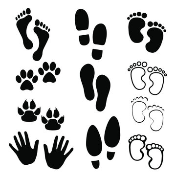 Footprints of animals and humans, paws. Elements for design, advertising, web, packaging, textile. Vector.