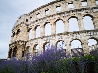 Obraz premium colosseum in rome italy
