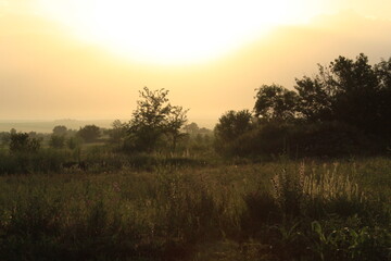 sunrise over the river