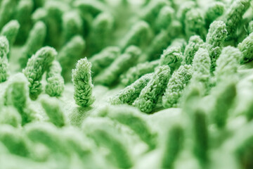 Pile of green rug close up or carpet texture. Copy, empty space for text