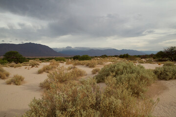 Arid landscape. view of the desert sand and dunes, vegetation and mountains under a stormy sky. 