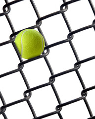 tennis ball stuck in chain link fence