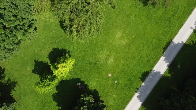drone shot over green trees munich englischer garten