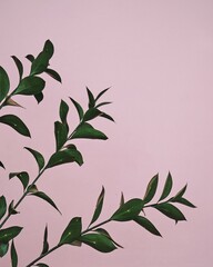 Fototapeta na wymiar branch of lilac