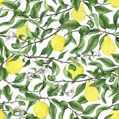 Seamless pattern with watercolor lemon twig. Citrus watercolor pattern. Citrus Italian seamless pattern. Summer endless background.