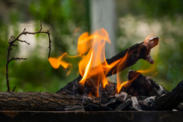 Flame of fire. Tree branches are burning. Fire in the barbecue. Barbecue fire. Yellow flames. Ashes on the branches. Summer holidays and barbecue