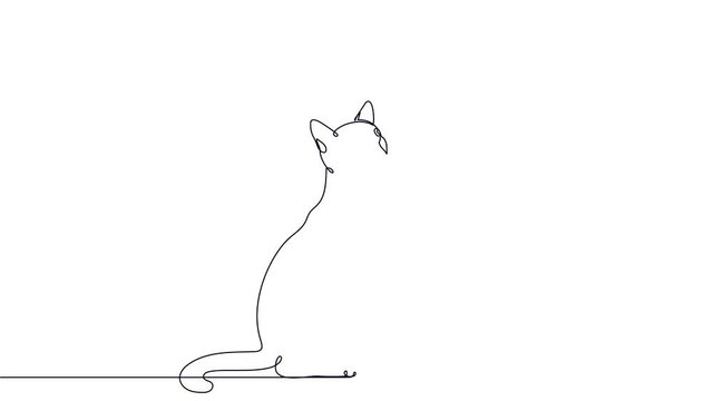 Cat playing with a butterfly in flight. Continuous line drawing.