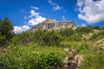 Small river maining to Dzangala peak, Pirin mountains