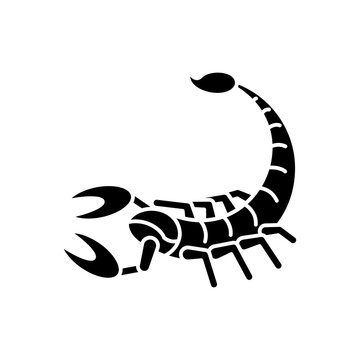 Scorpio zodiac sign black glyph icon. Astrological scorpion silhouette symbol on white space. Dangerous predatory arachnid. Poisonous animal with claws and long tail. Vector isolated illustration