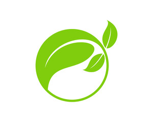 Circle ecological leaf