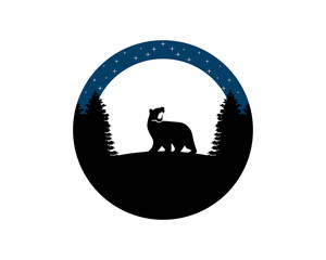Bear in the forest at night
