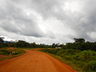 Fototapeta na wymiar West Africa, Liberia, 6 of July 2015, Yekepa outskirts, 2015. Beautiful nature in the bush. Road conditions to Yekepa directions. 