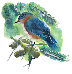 Watercolor Bluebird on a Snowy Pine Branch and Pine Cones