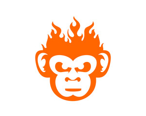 Angry monkey with fire flame