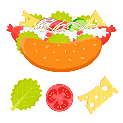 Flat vector illustration of hot dog and ingredients. Fast food concept. Hotdog with sausage and vegetables. Salad leaves, lettuce, cheese, slice of tomato, onion and cucumber, cabbage salad, cream sau