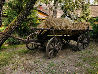 Fototapeta na wymiar A close up of a horse drawn carriage