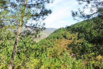 Fototapeta na wymiar Paisaje otoñal de las montañas en el Camino de Santiago, Camino Sanabres, cerca de Laza, provincia de Orense, Galicia, España