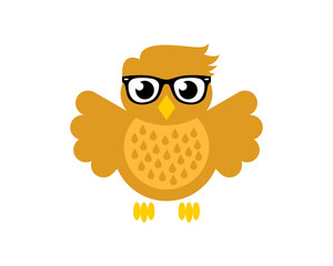 Smart owl with eyeglasses