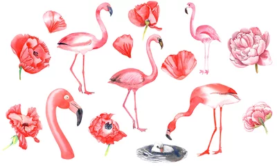 Zelfklevend Fotobehang Flamingo Oranje, roze flamingo& 39 s, rode papaver bloemen, pioen illustraties. Geïsoleerde elementen op een witte achtergrond. Voorraad illustratie. Handgeschilderd in aquarel.