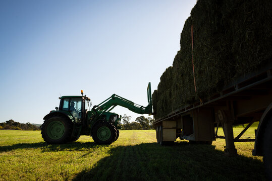 Tractor loading hay