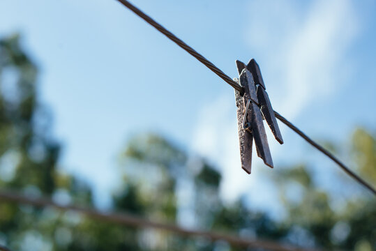 Pegs on clothesline