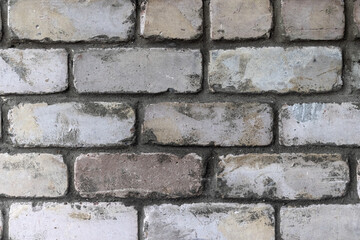 The wall is a stone masonry made of gray brick, close-up.
