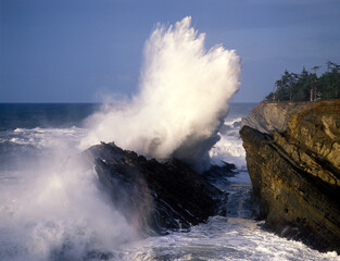A huge wave breaking against off-shore rocks at Shore Acres State park near Charleston, Oregon.