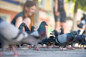 Children feed pigeons. Blurred background.
